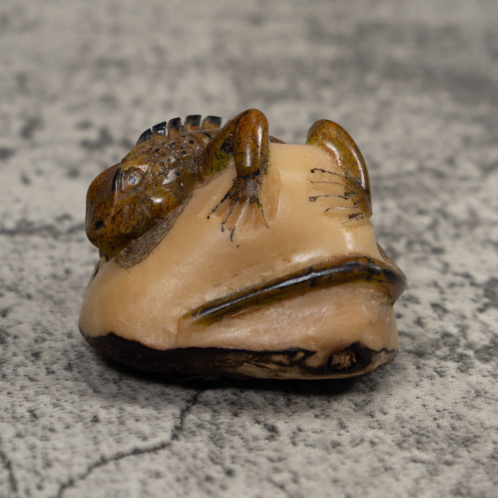 Vintage Iguana Lizard Reptile Tagua Carving