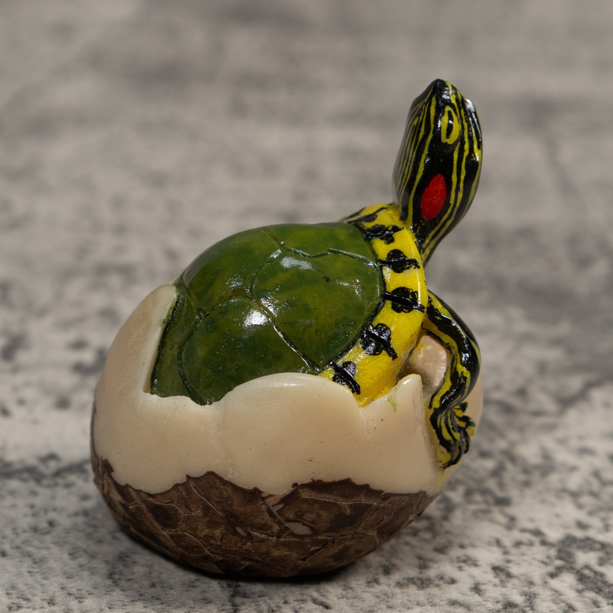 Land Turtle Tortoise Tagua Carving