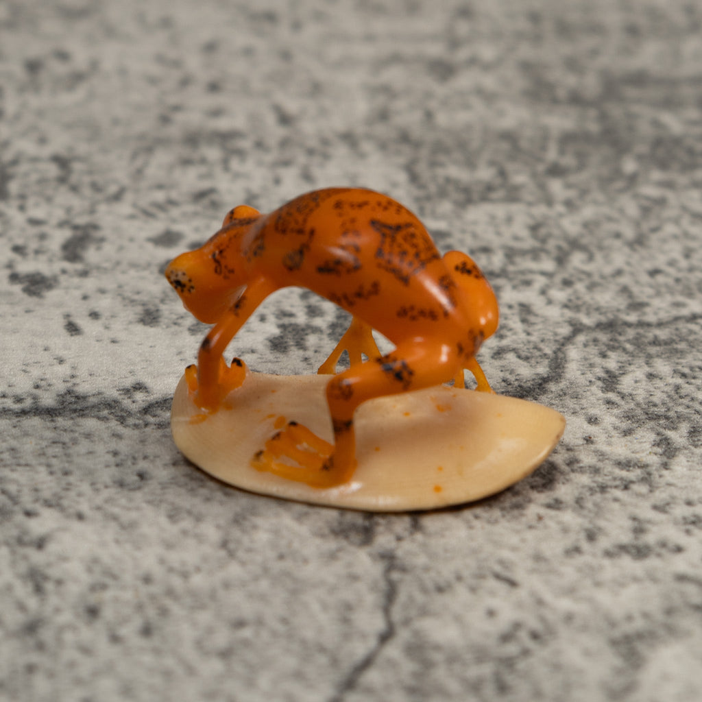 Orange And Black Undercut Frog Tagua Carving