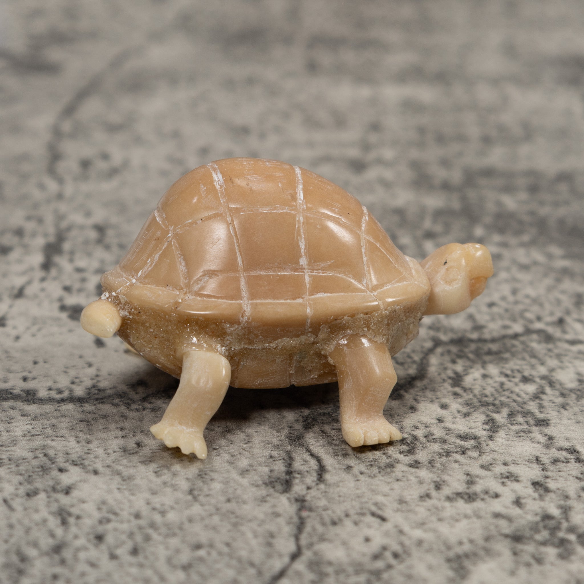 Vintage White Natural Tortise Turtle Tagua Carving