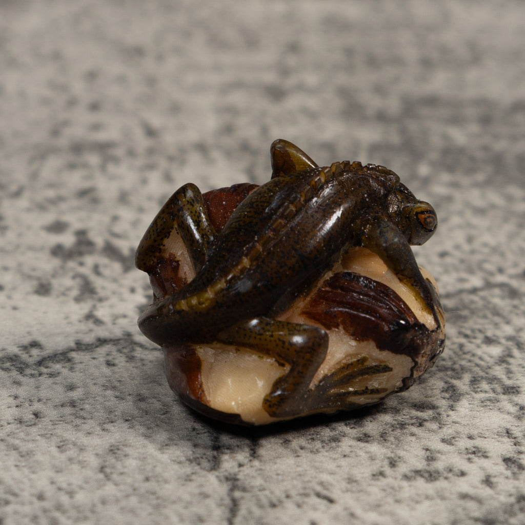 Brown And Black Iguana Lizard Tagua Carving