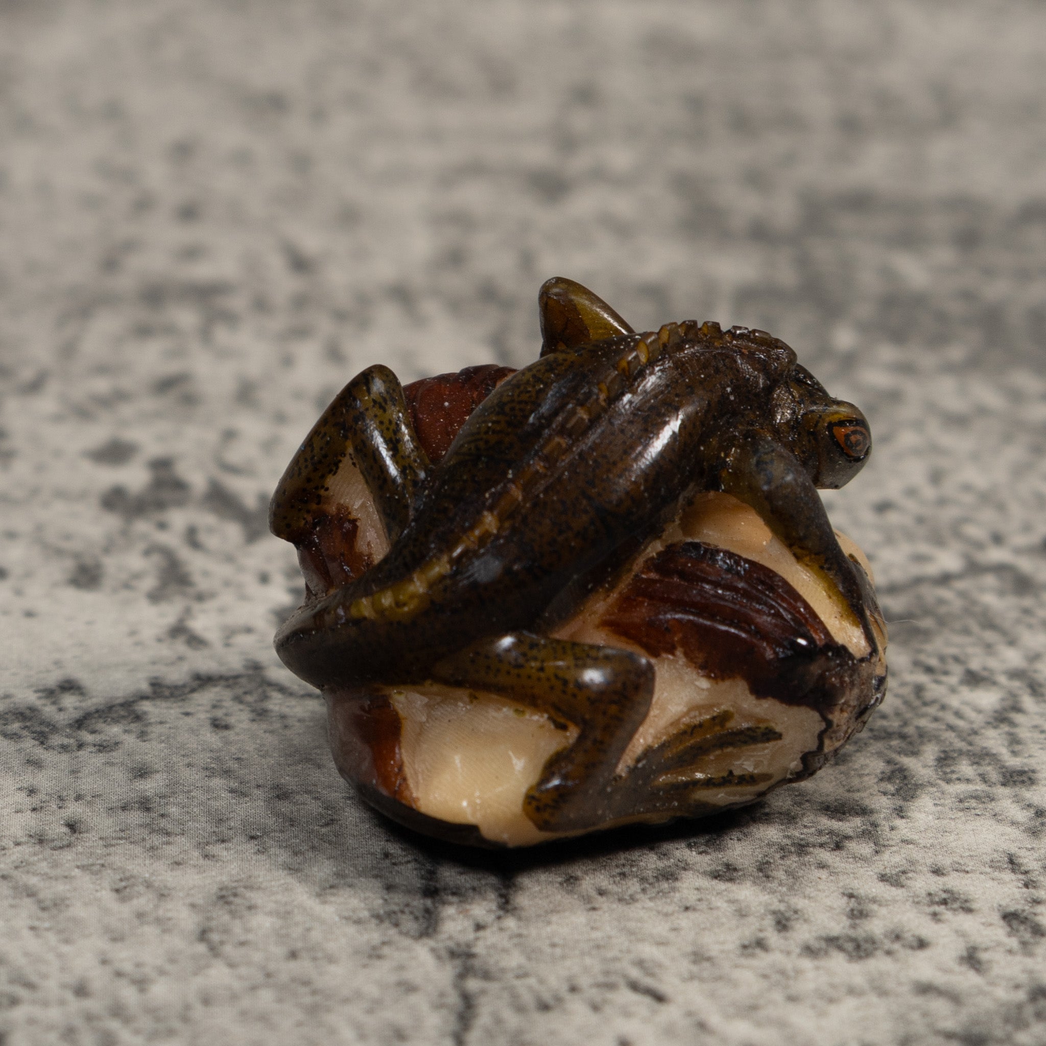 Brown And Black Iguana Lizard Tagua Carving