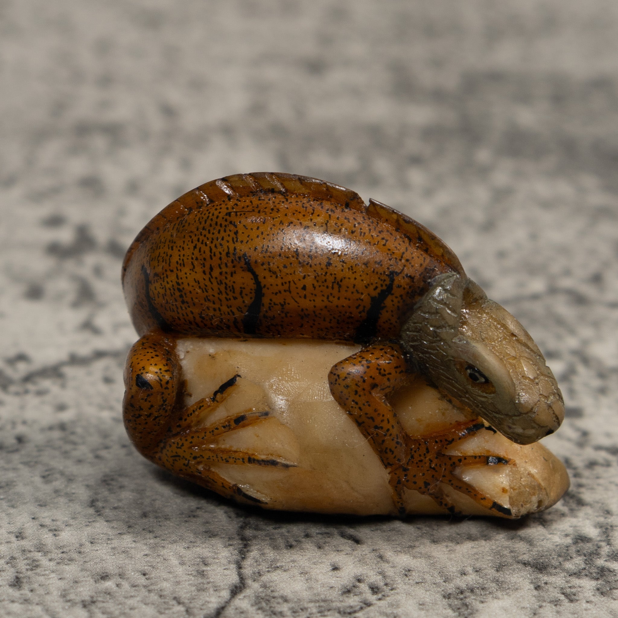 Vintage Brown Iguana Lizard Tagua Carving