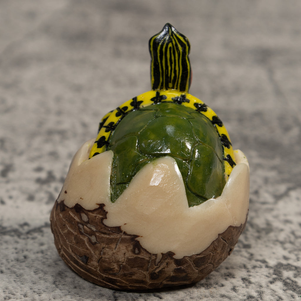 Land Turtle Tortoise Tagua Carving