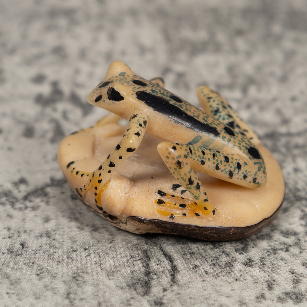 Unusual Frog Tagua Carving