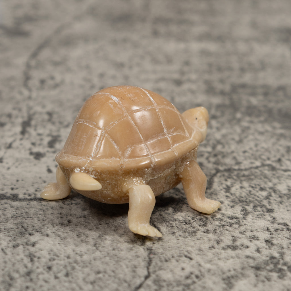 Vintage White Natural Tortise Turtle Tagua Carving