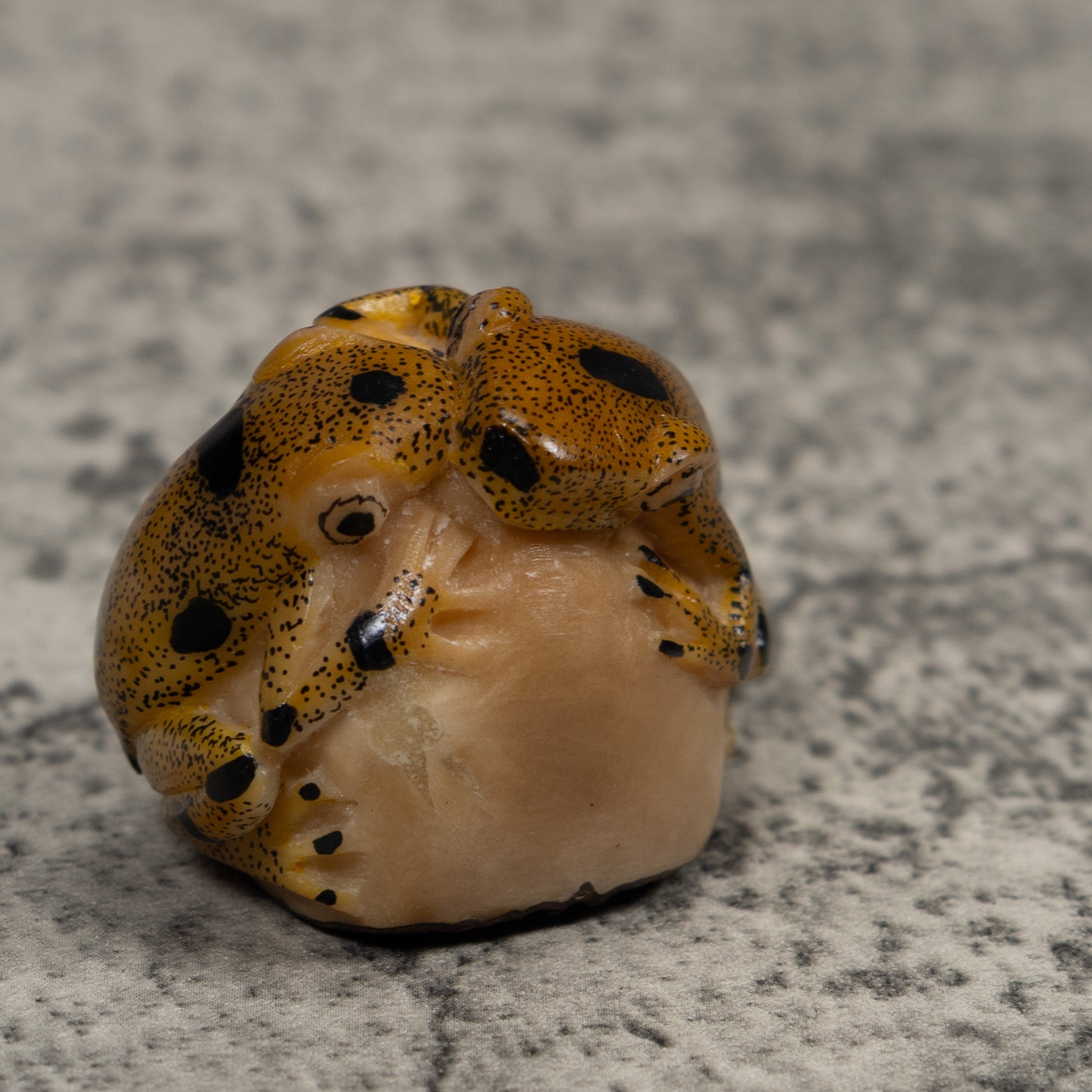 Double Vintage Frog Tagua Carving