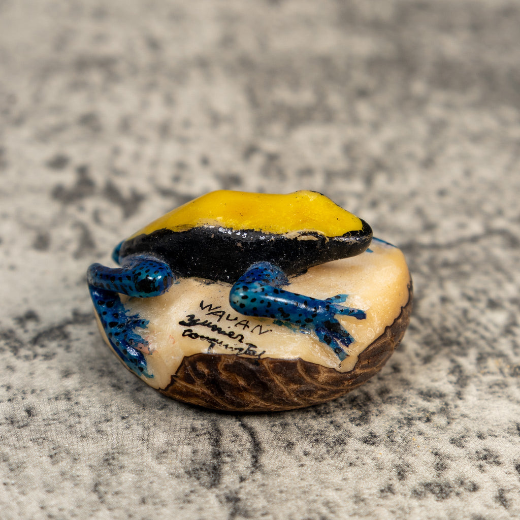 Black Blue And Yellow Poison Dart Frog Tagua Carving