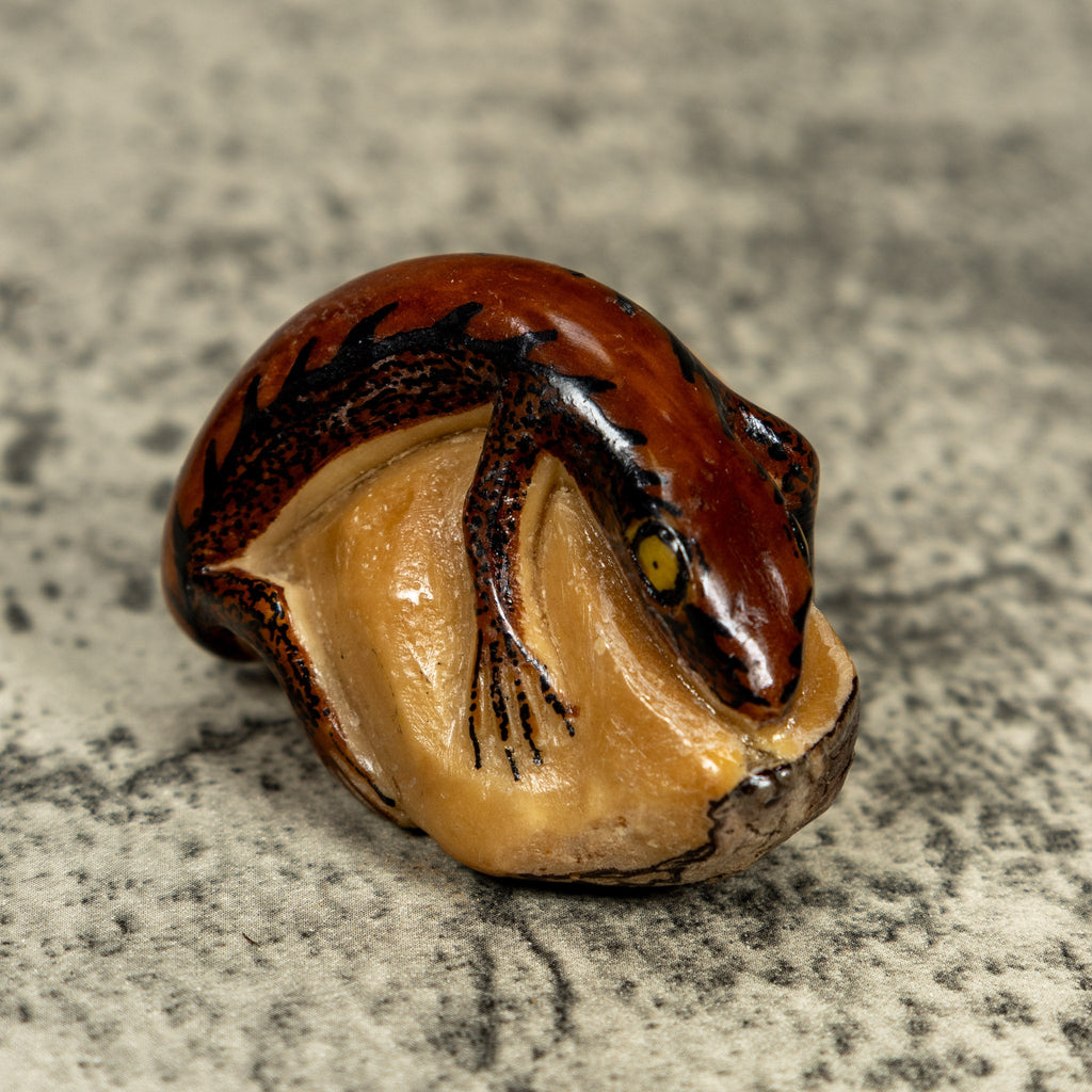 Vintage Black And Brown Gecko Lizard Tagua Carving