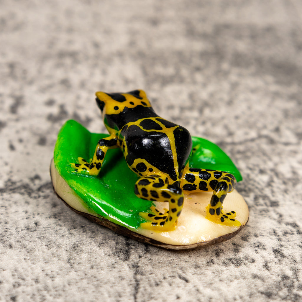 Black And Yellow Poison Dart Frog Tagua Carving
