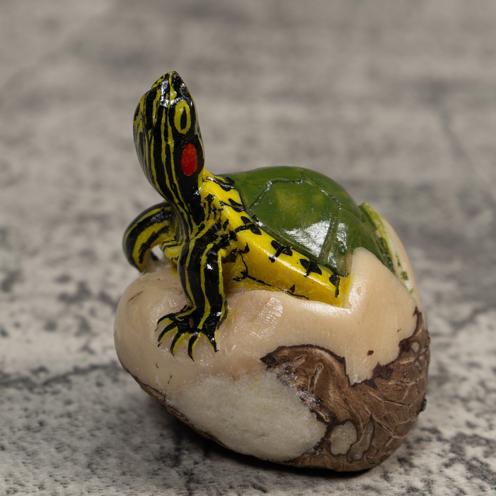 Land Turtle Tortoise Tagua Carving