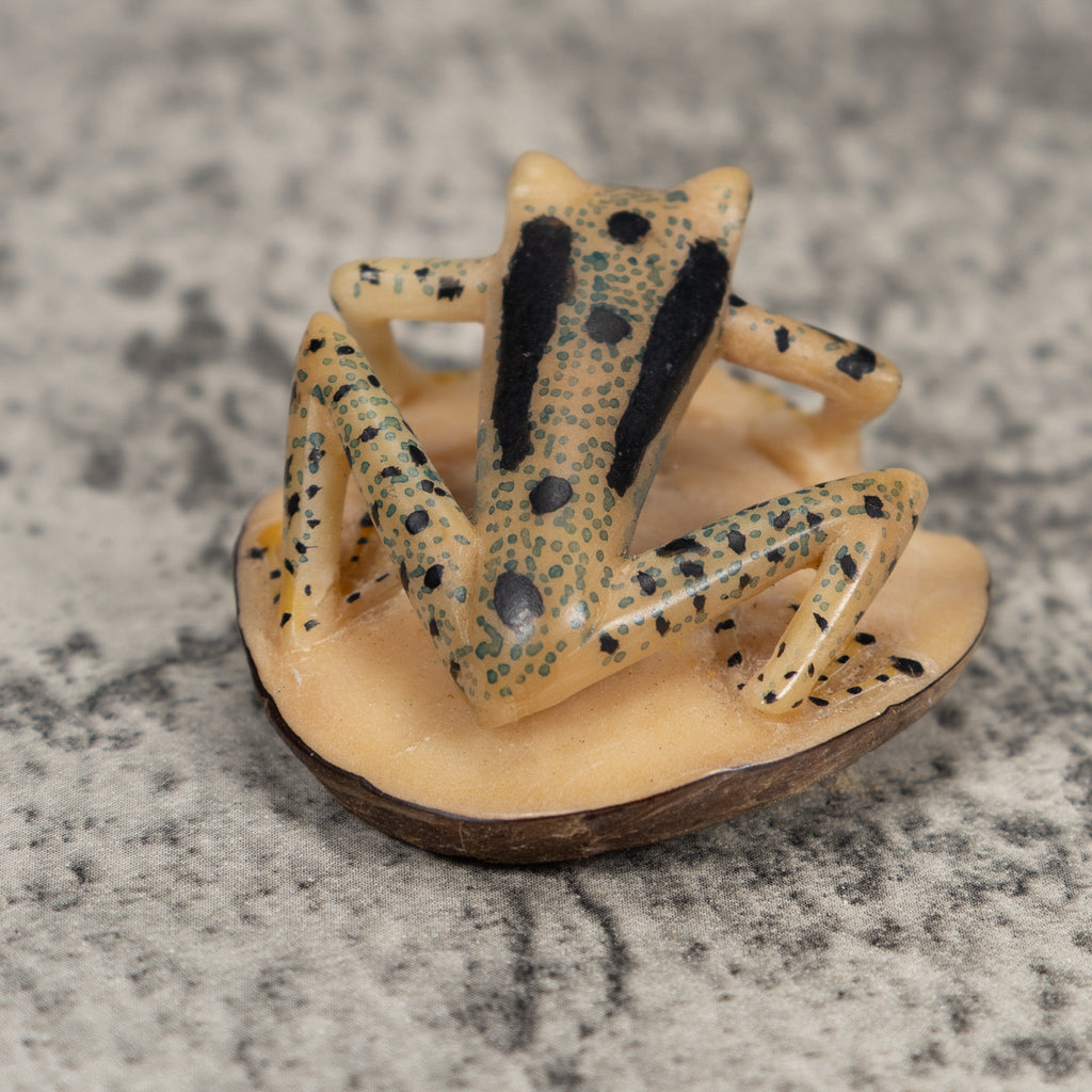 Unusual Frog Tagua Carving