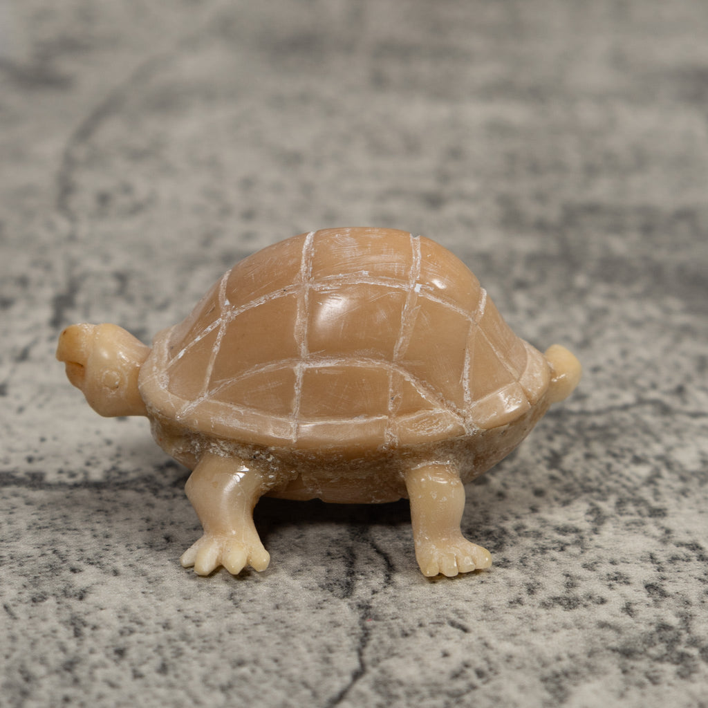 Vintage White Natural Tortise Turtle Tagua Carving