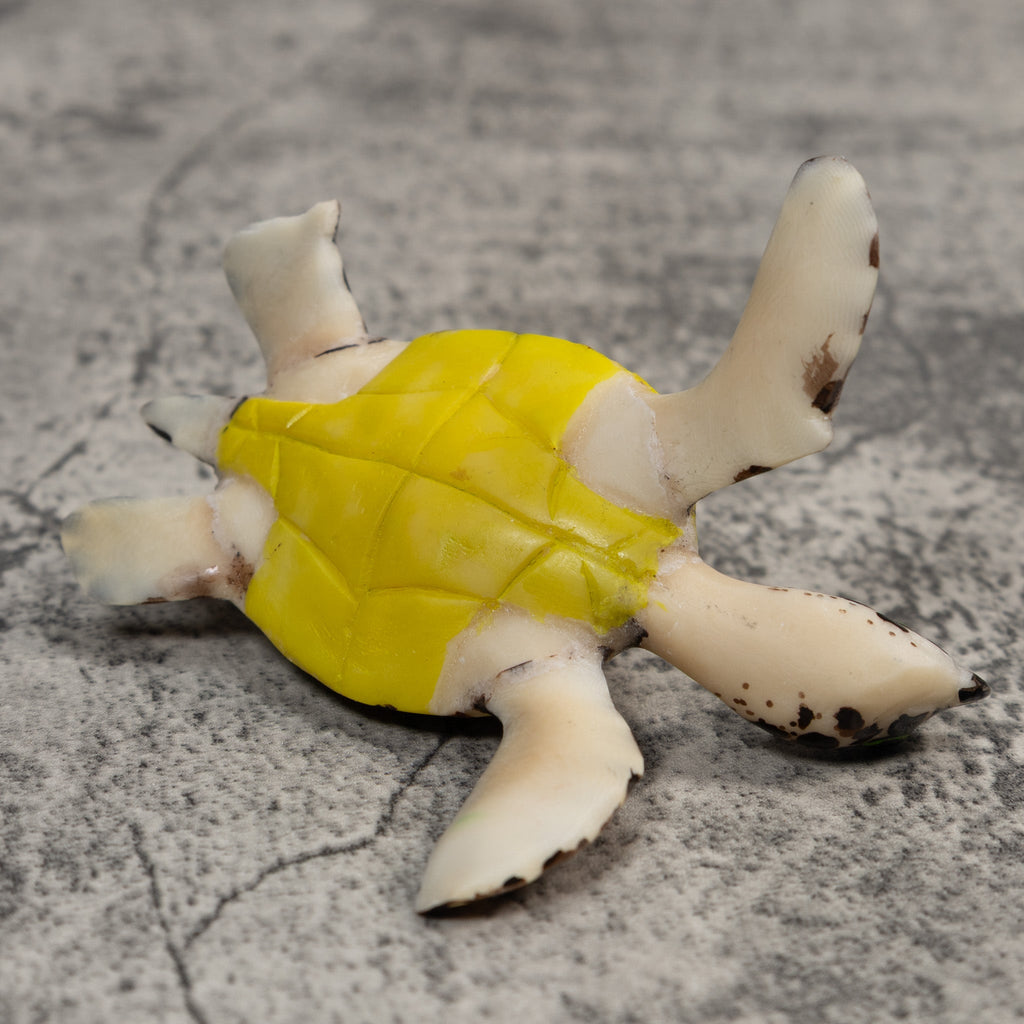 Large Sea Turtle Tagua Carving