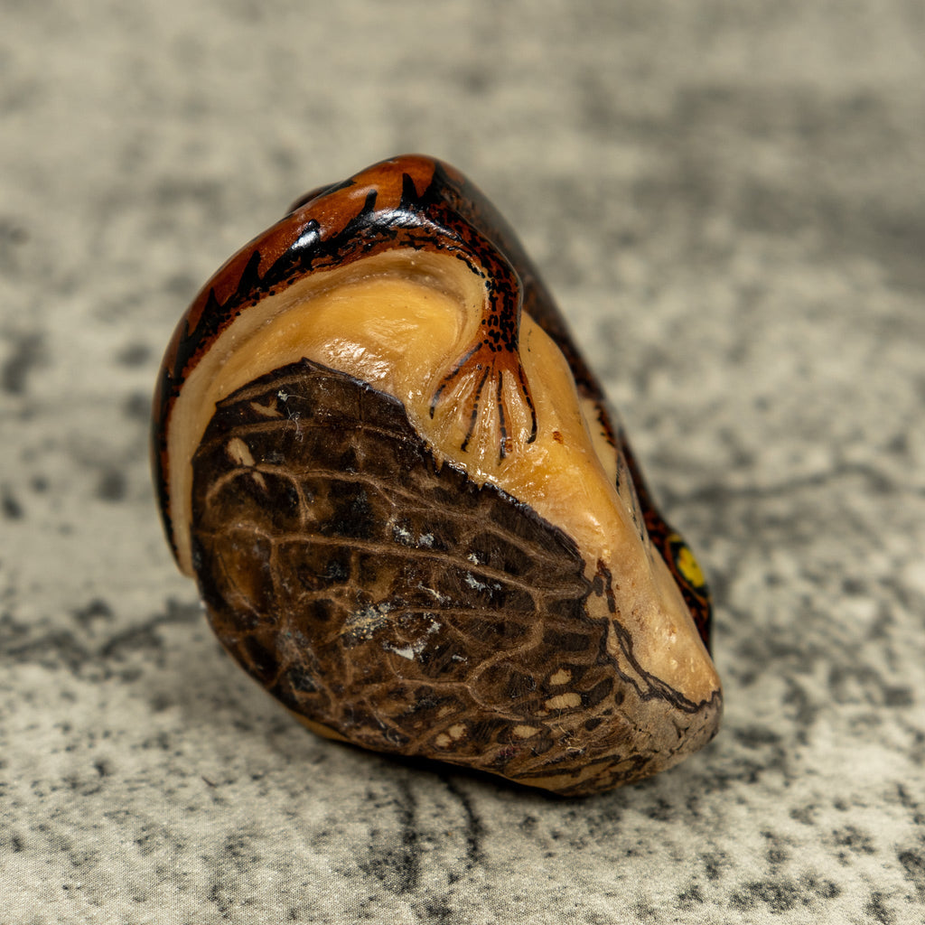 Vintage Black And Brown Gecko Lizard Tagua Carving