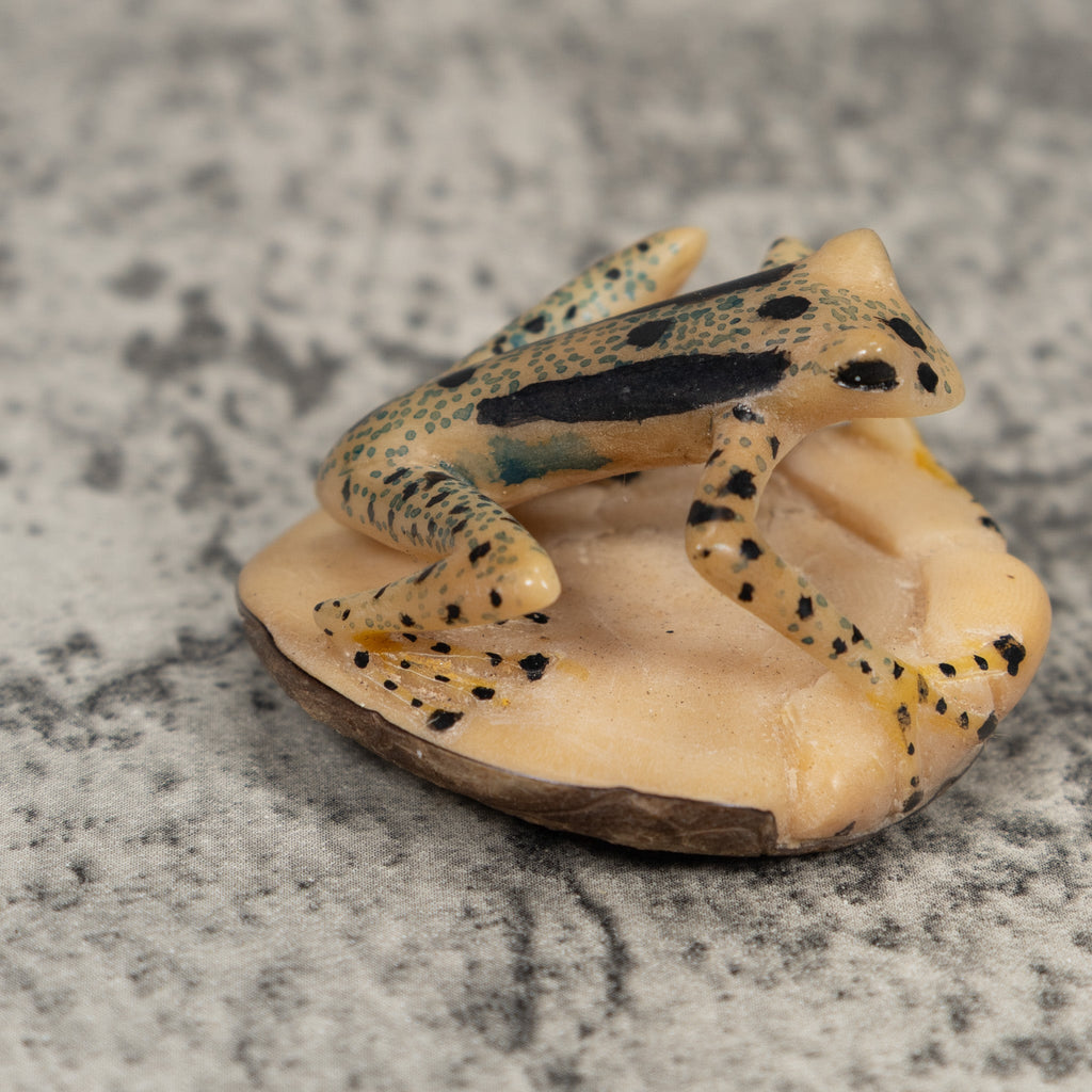 Unusual Frog Tagua Carving