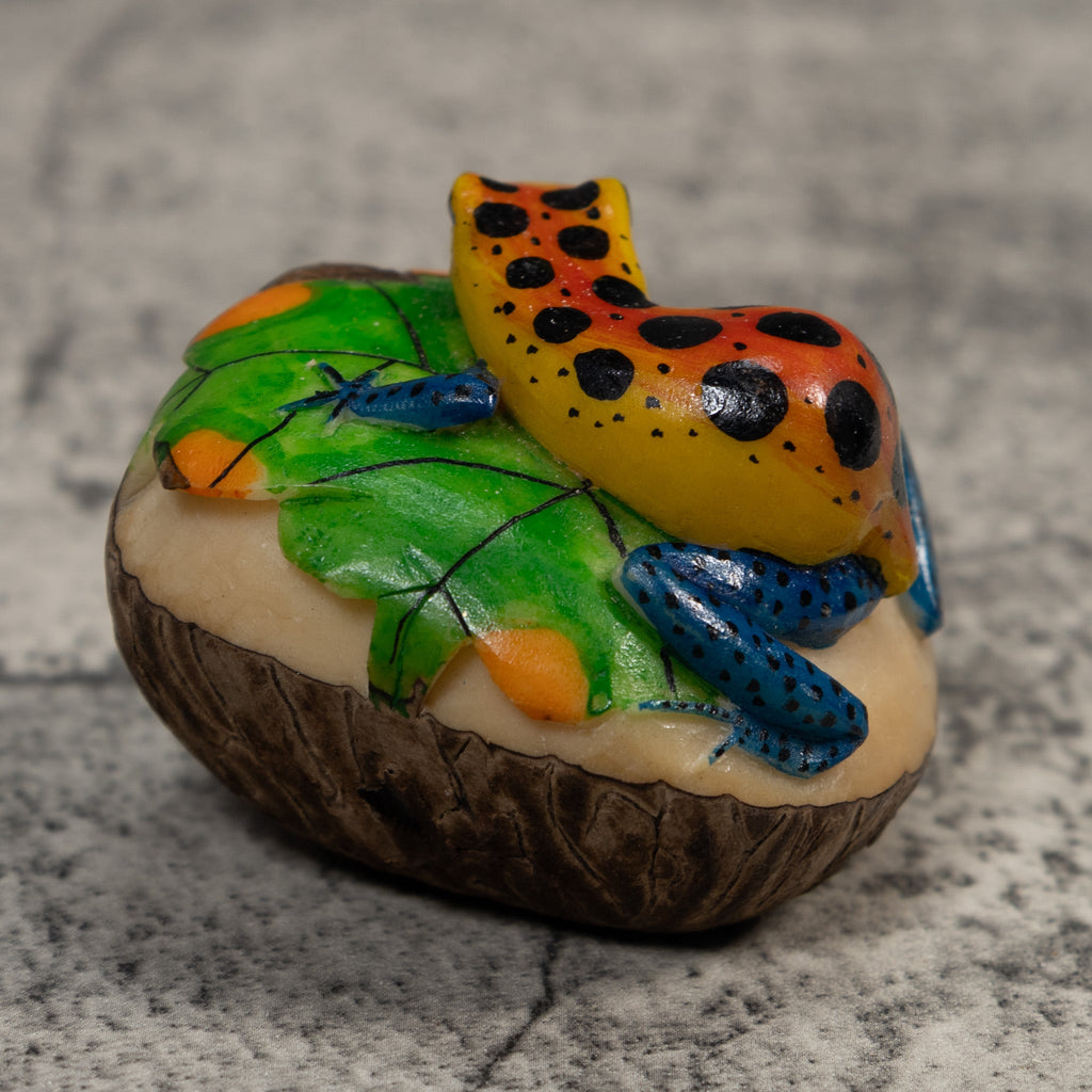 Orange Yellow And Blue Poison Dart Frog Tagua Carving