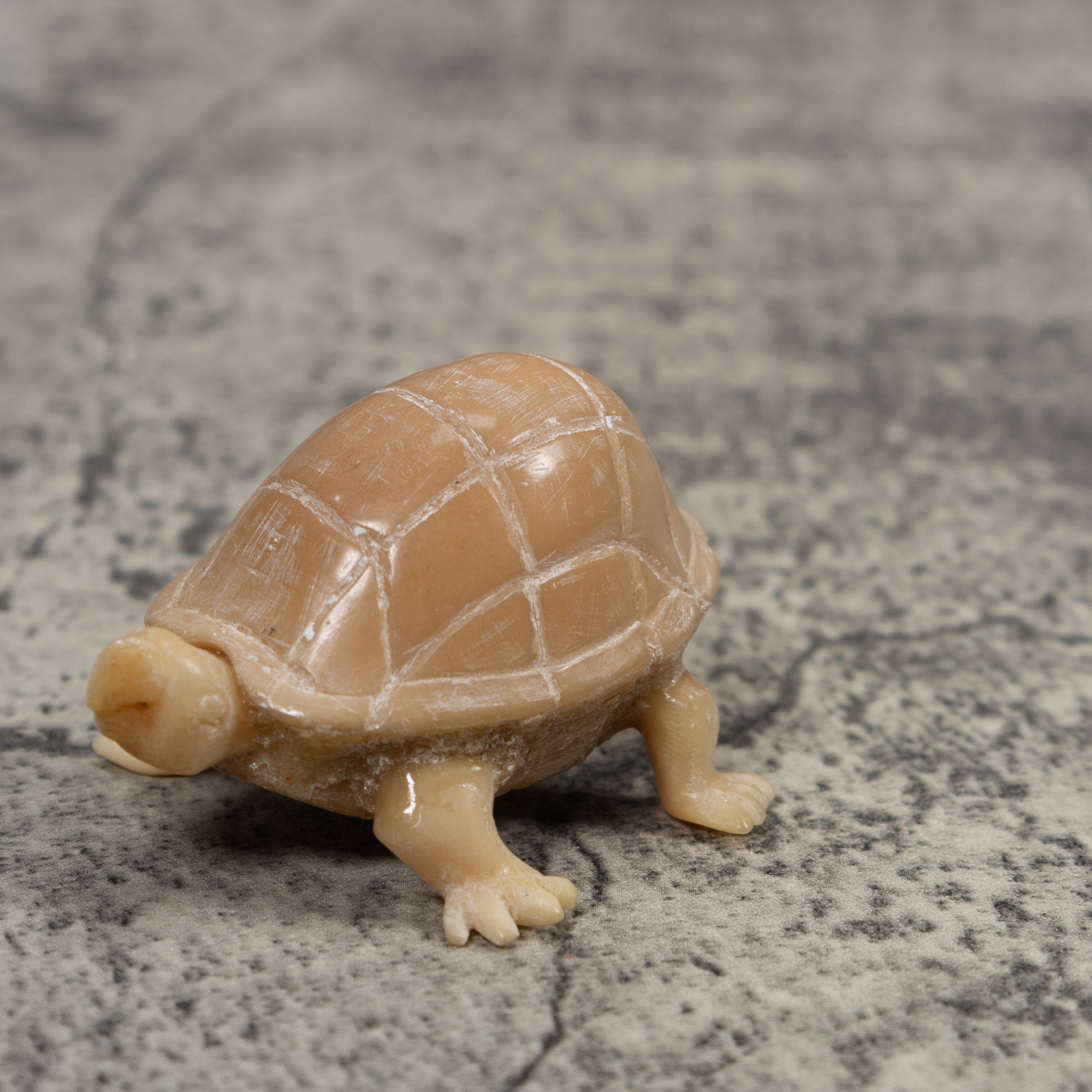 Vintage White Natural Tortise Turtle Tagua Carving