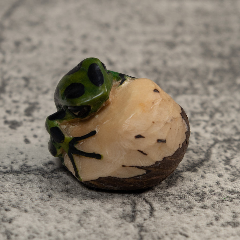 Black And Green Poison Dart Frog Tagua Carving