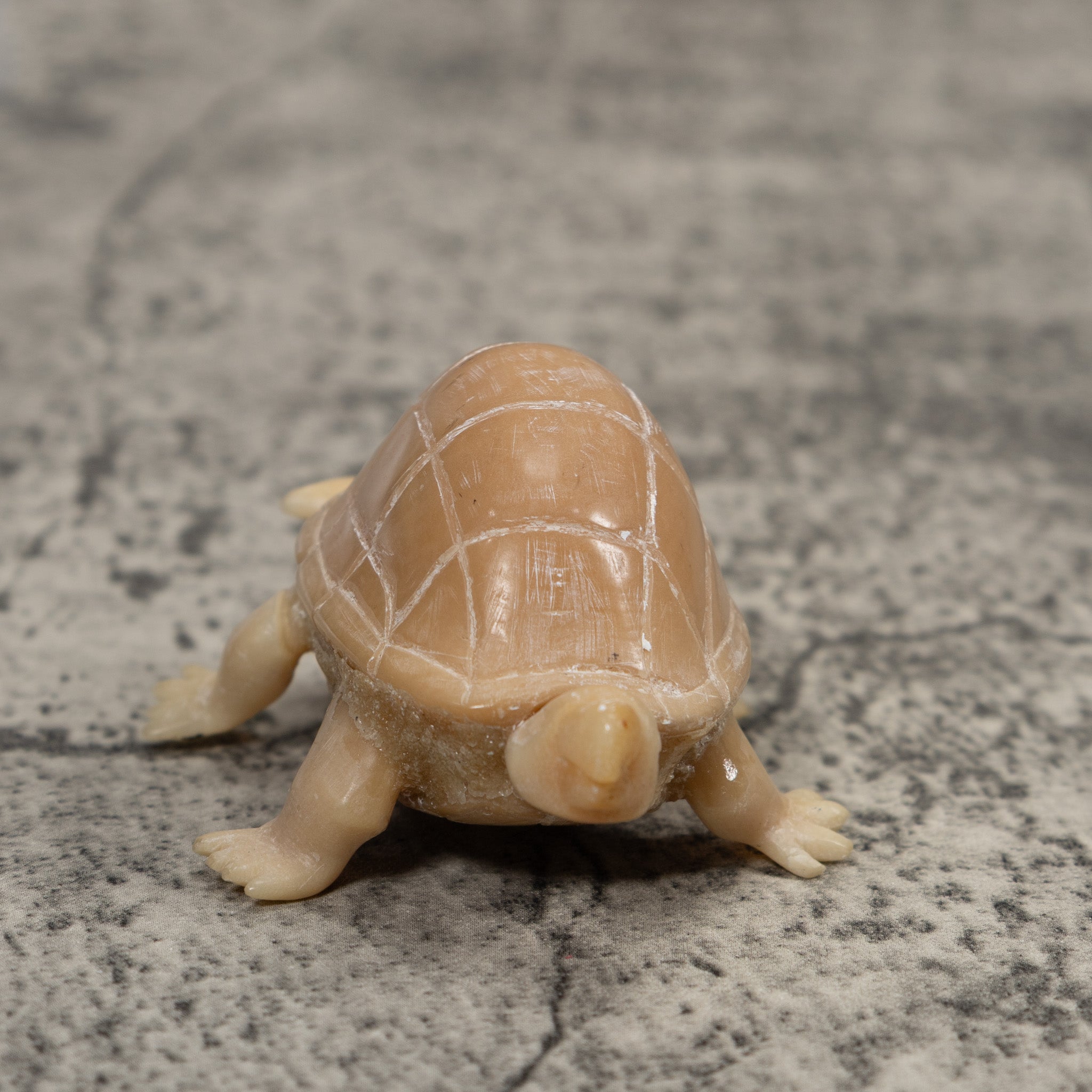 Vintage White Natural Tortise Turtle Tagua Carving