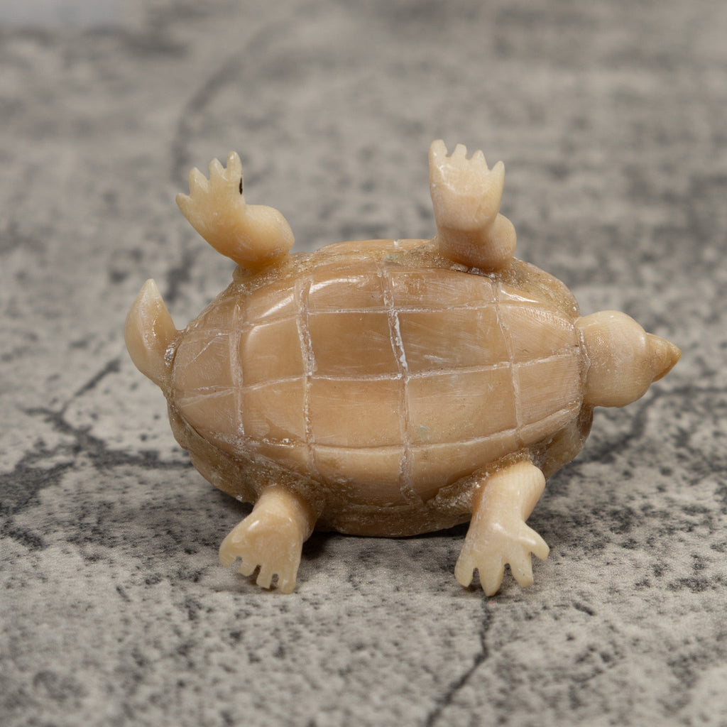 Vintage White Natural Tortise Turtle Tagua Carving