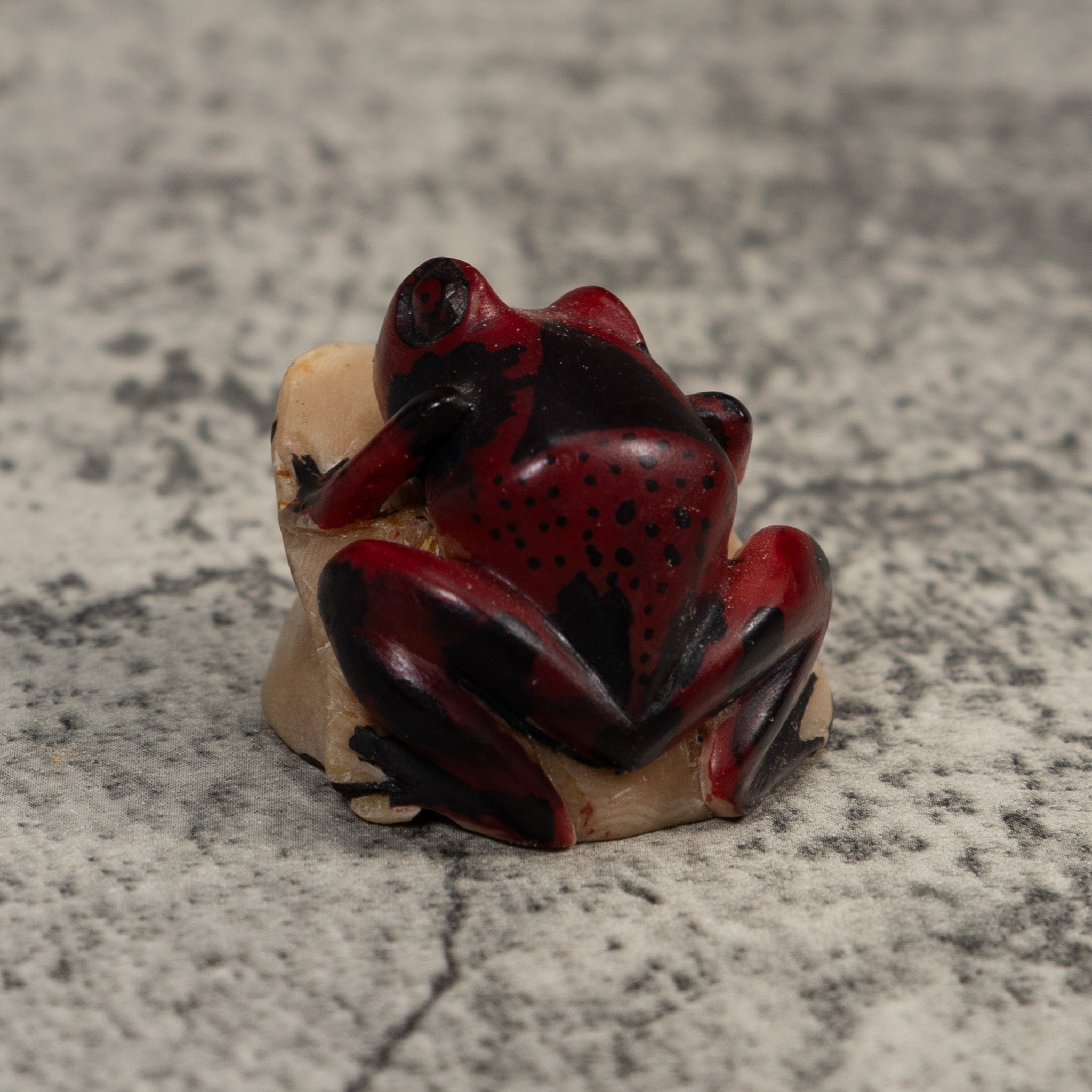 Vintage Red And Black Frog Tagua Carving