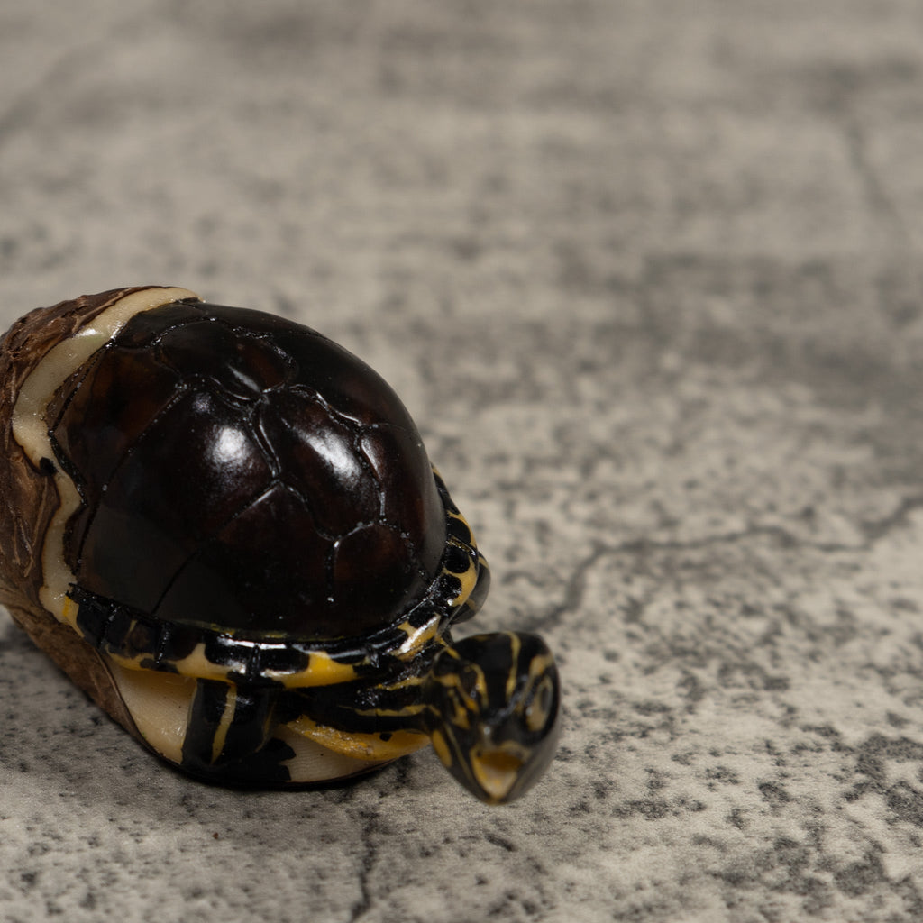 Tortise and Egg Tagua Carving