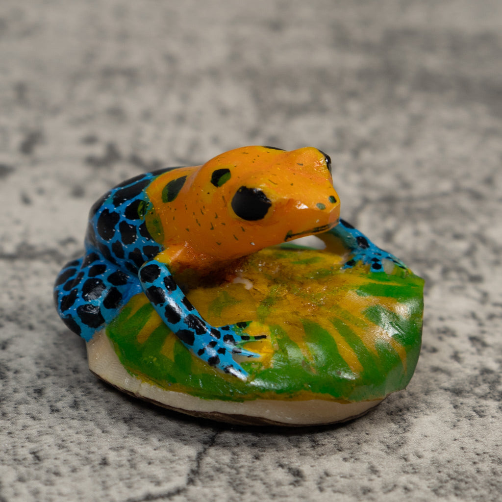 Blue Orange And Black Poison Dart Frog Tagua Carving