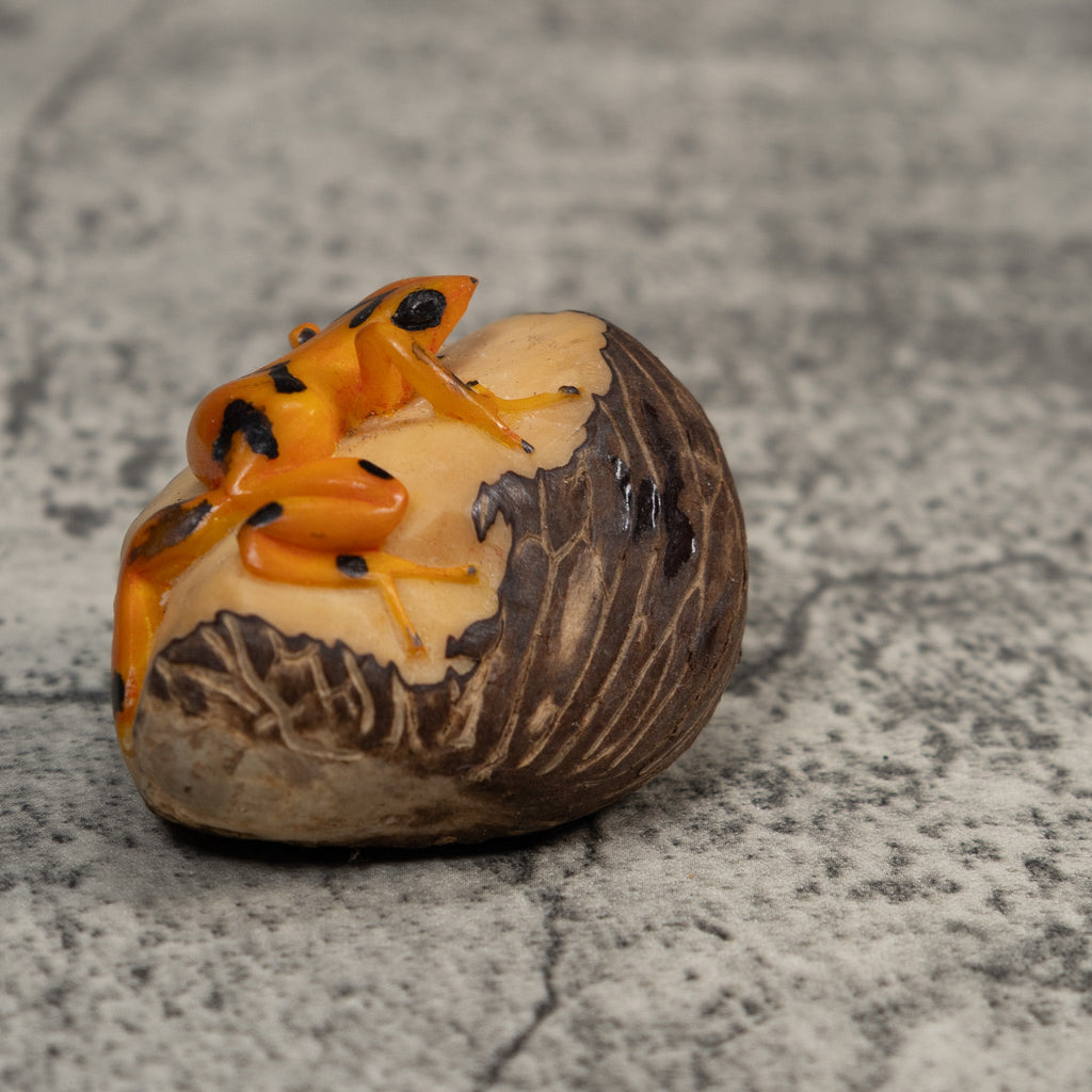 Vintage Black And Golden Frog Tagua Carving