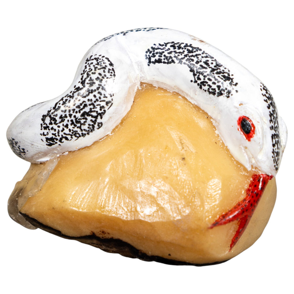 Vintage White Snake Tagua Carving