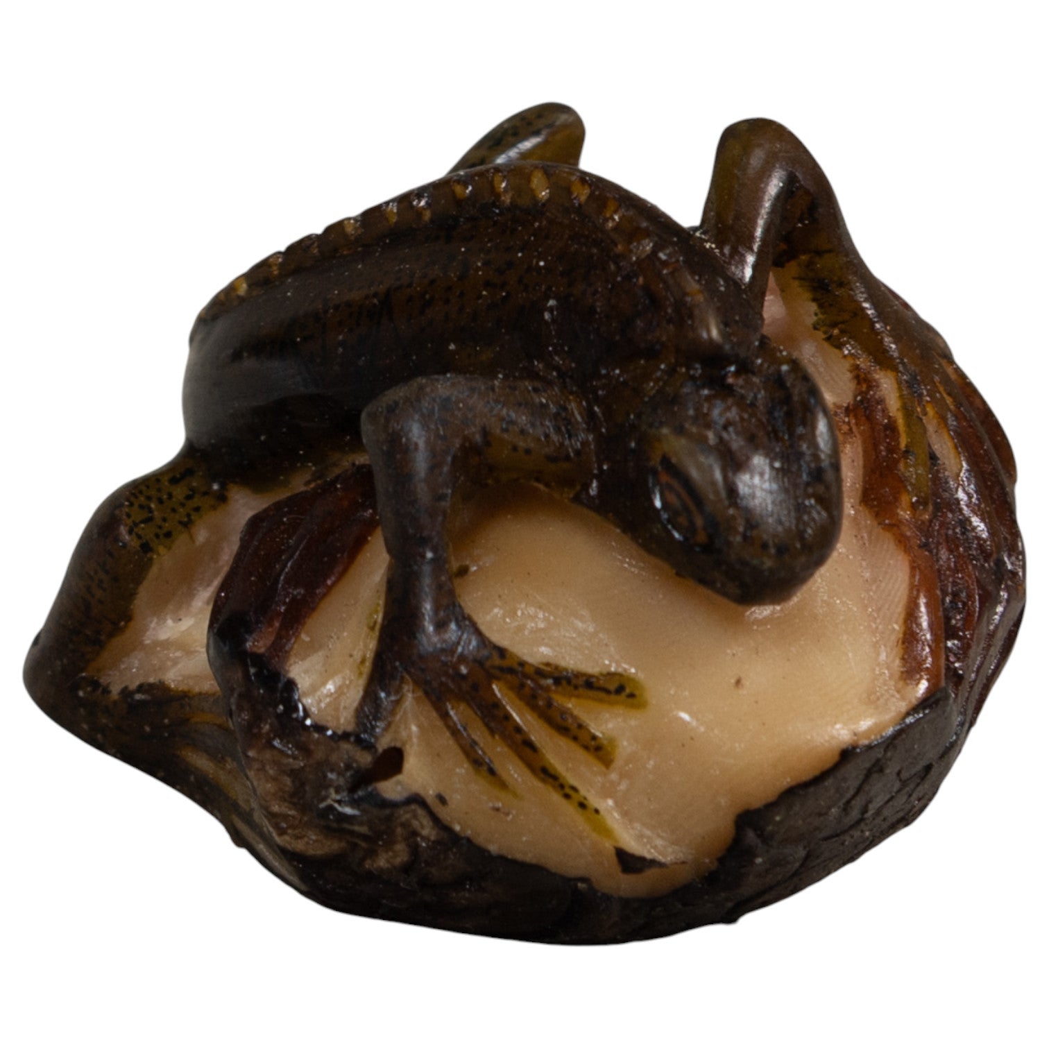 Brown And Black Iguana Lizard Tagua Carving