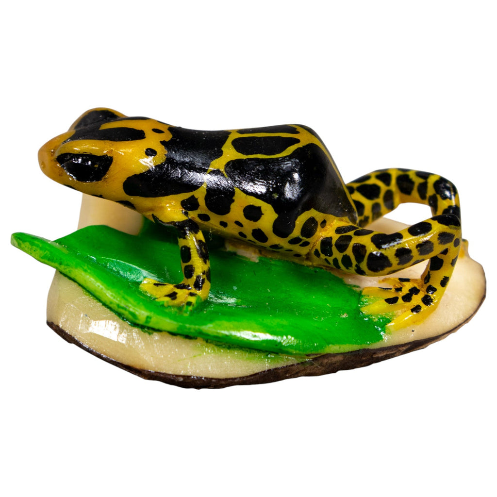 Black And Yellow Poison Dart Frog Tagua Carving