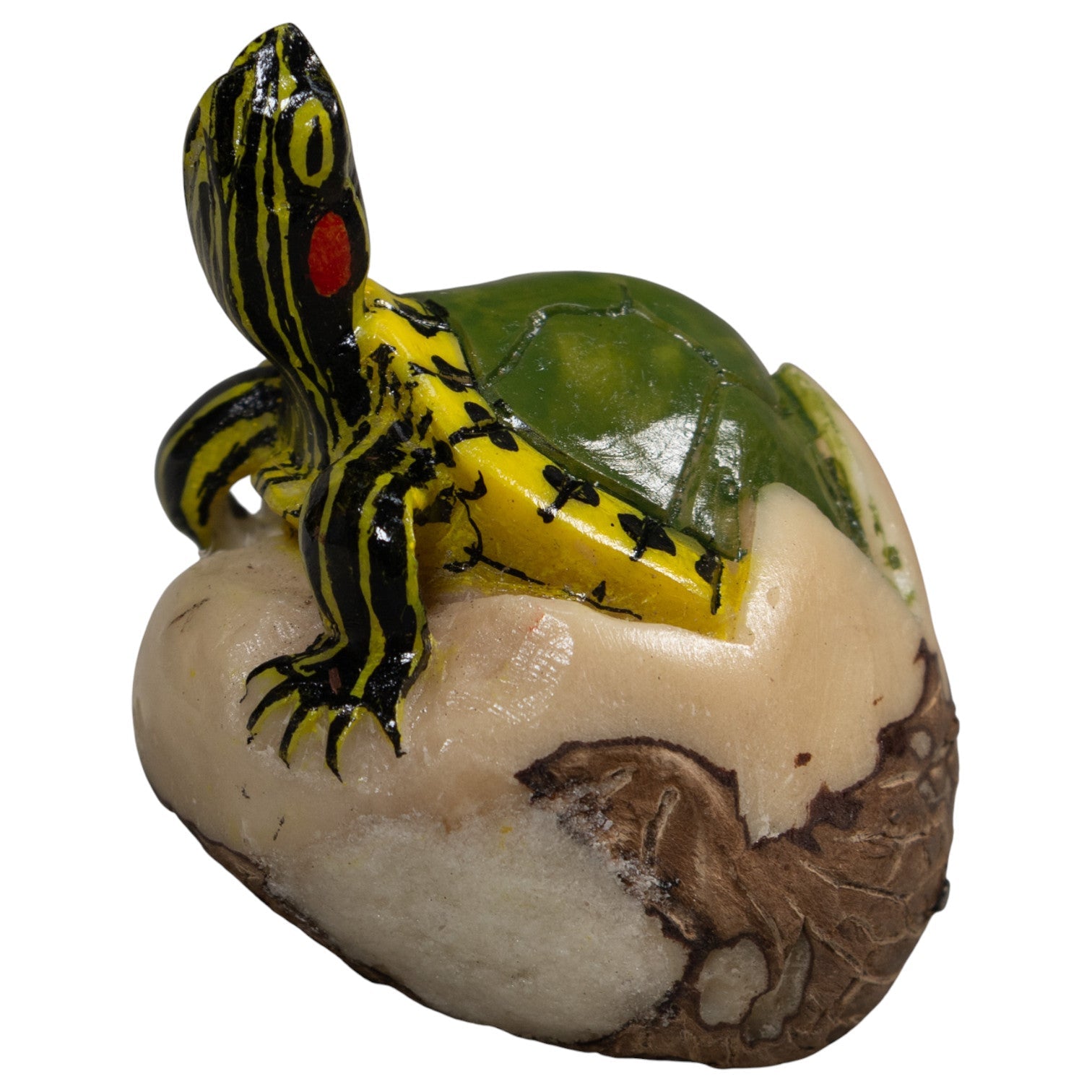 Land Turtle Tortoise Tagua Carving