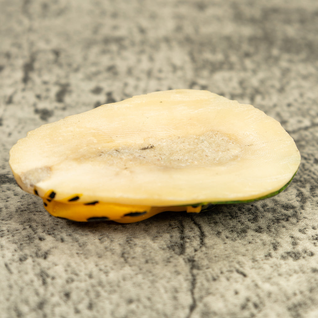 Golden Frog Tagua Carving