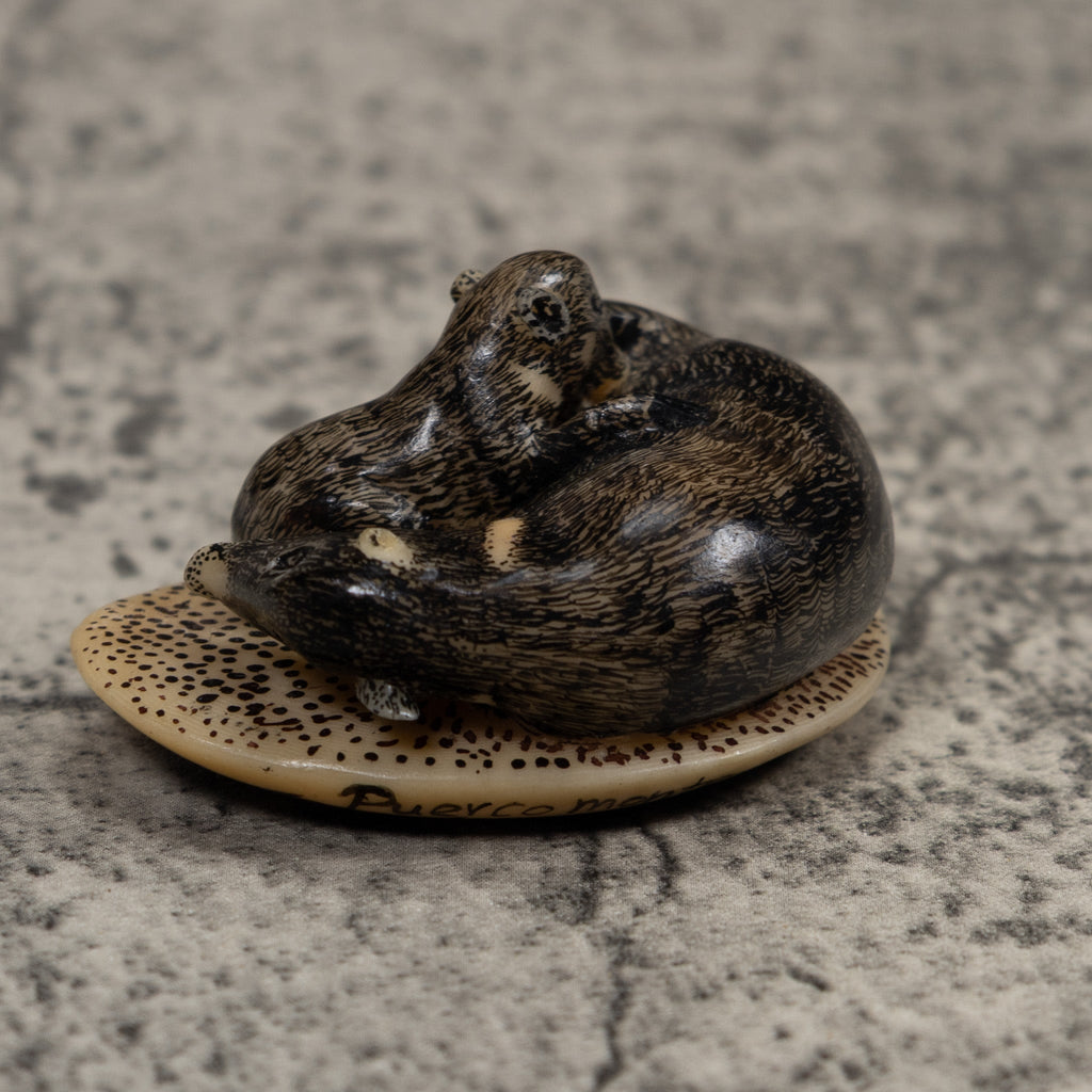 Coatimundi With Cub Tagua Carving