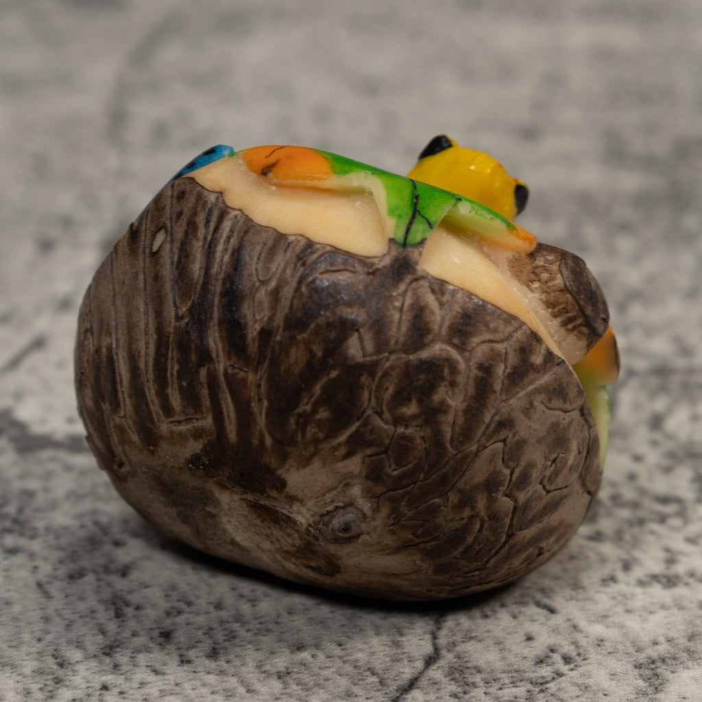 Orange Yellow And Blue Poison Dart Frog Tagua Carving