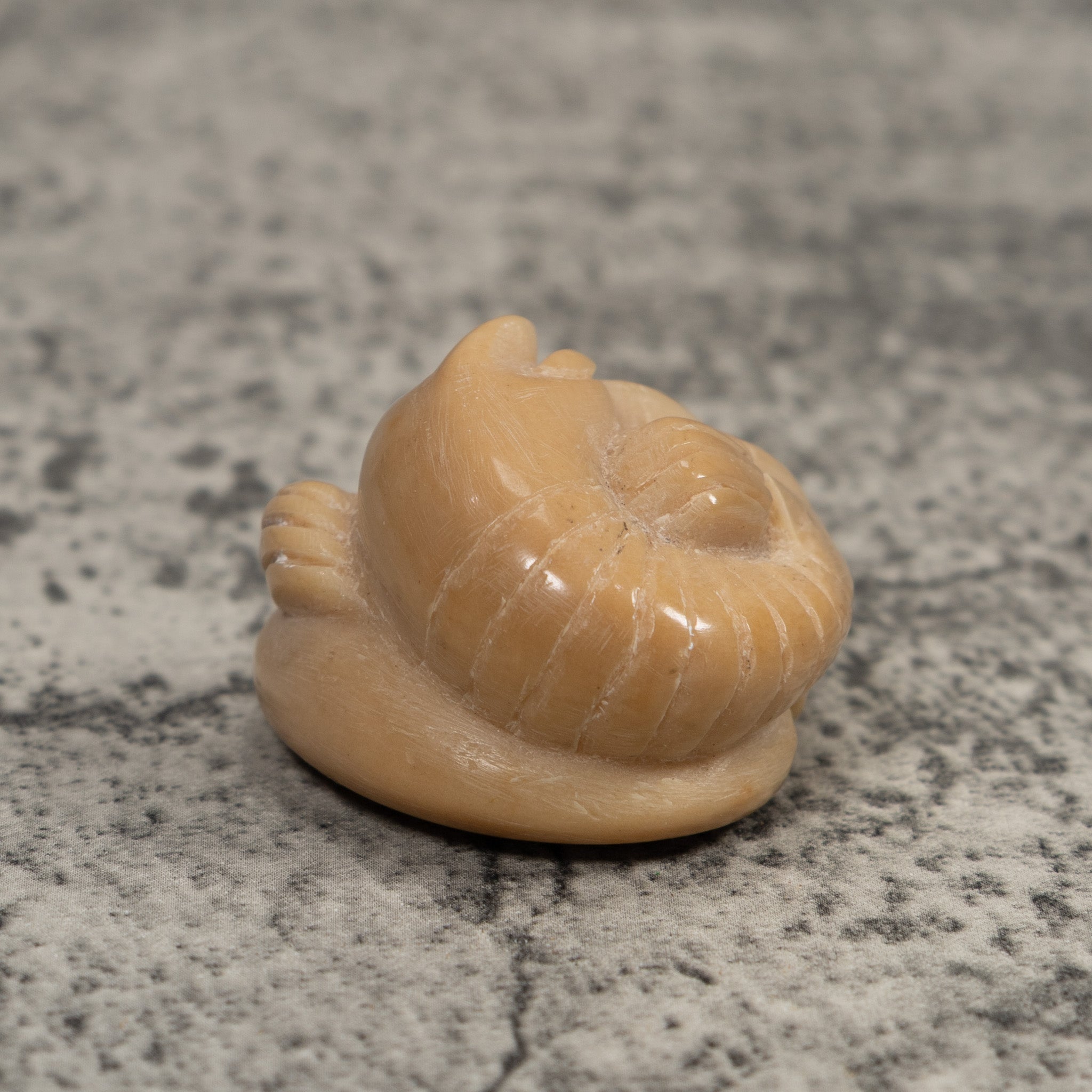 Vintage White Shrimp Tagua Carving