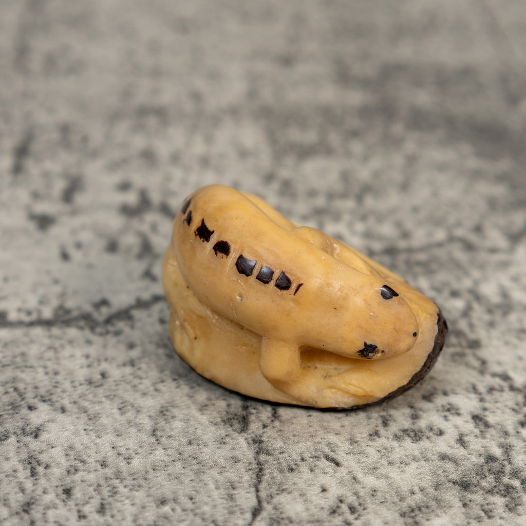 Vintage Gecko Lizard Tagua Carving