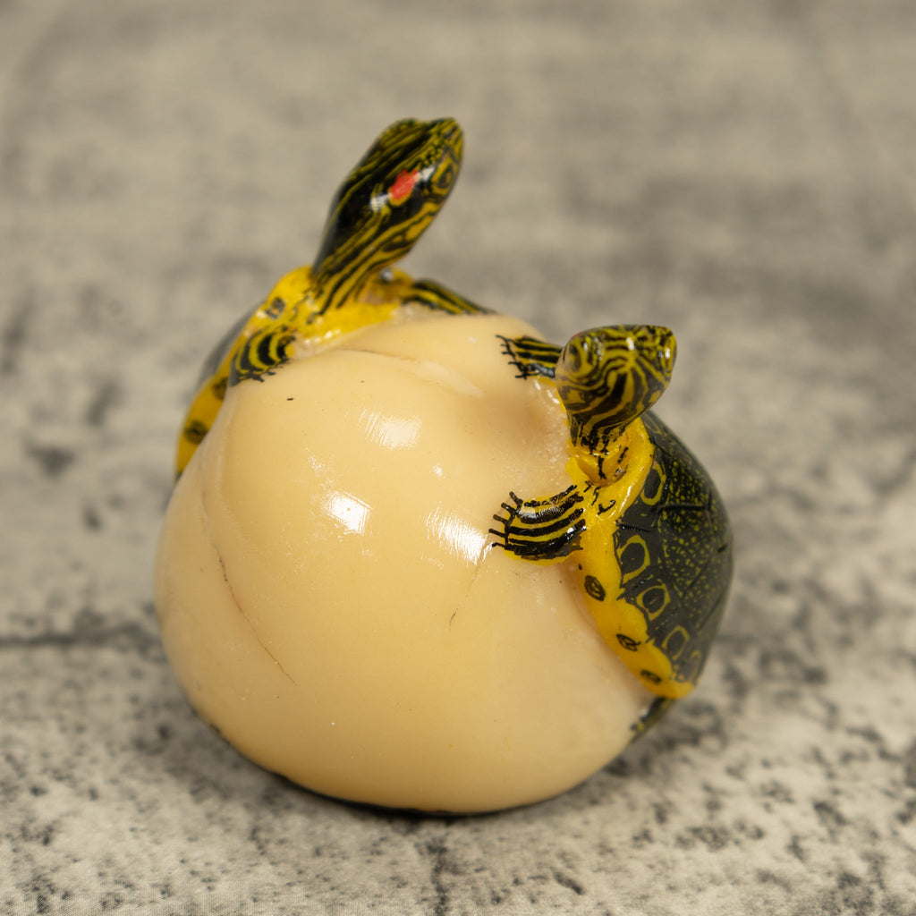 Double (2) Tortoise Turtle Tagua Carving