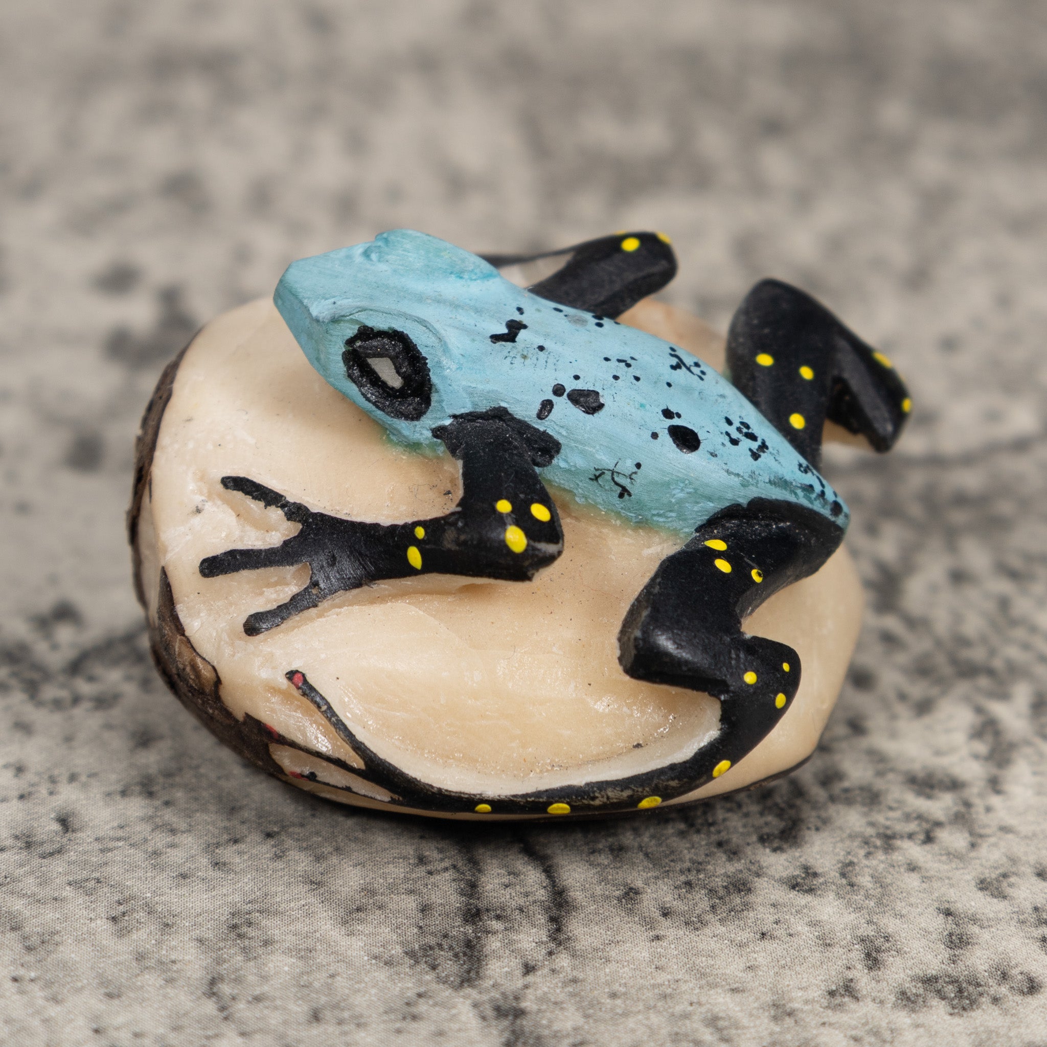 Black And Blue Poison Dart Frog Tagua Carving