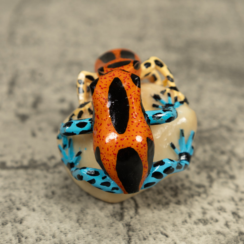 Double Poison Dart Frog Tagua Carving