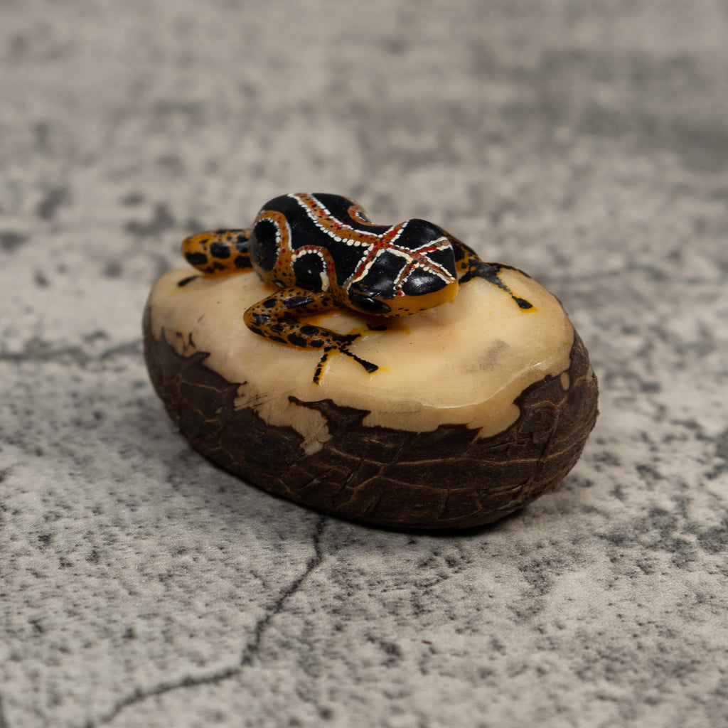 Vintage Black Brown And White Poison Dart Frog Tagua Carving