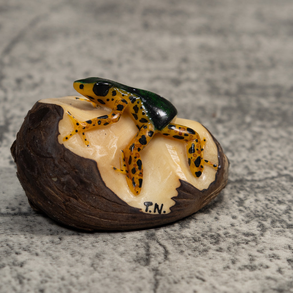 Gold And Black Poison Dart Frog Tagua Carving