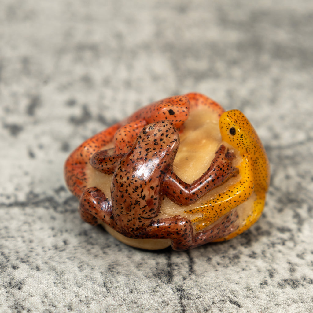 Three Poison Dart Frog Tagua Carving