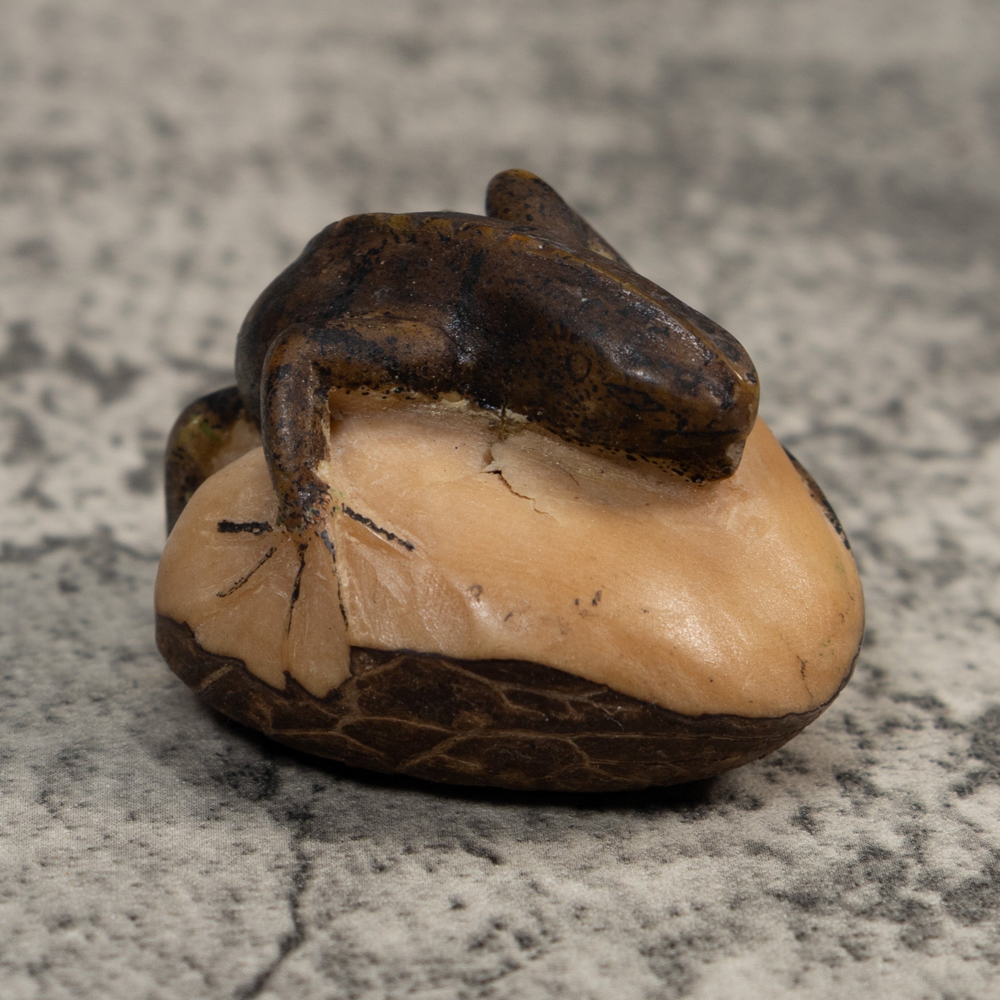 Vintage Green Iguana Lizard Tagua Carving