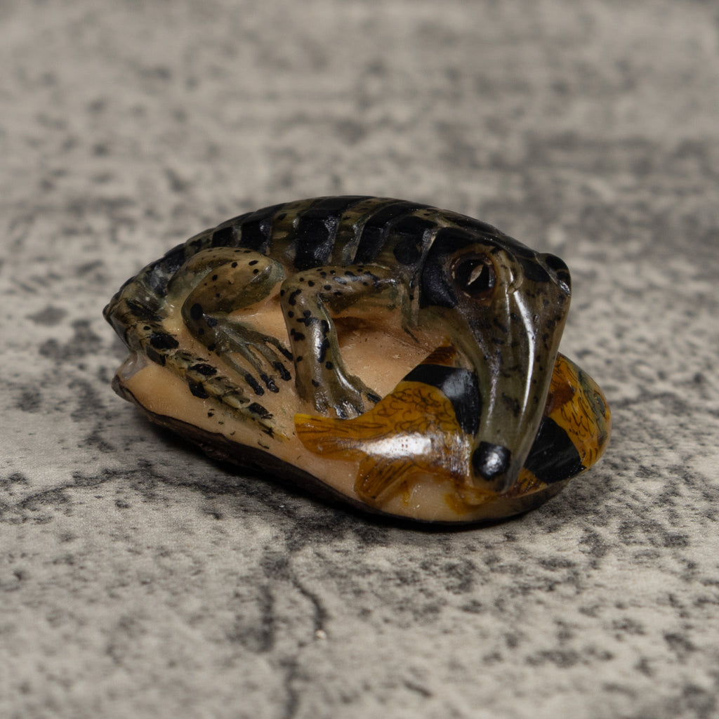 Vintage Black And Brown Alligator With Fish Tagua Carving