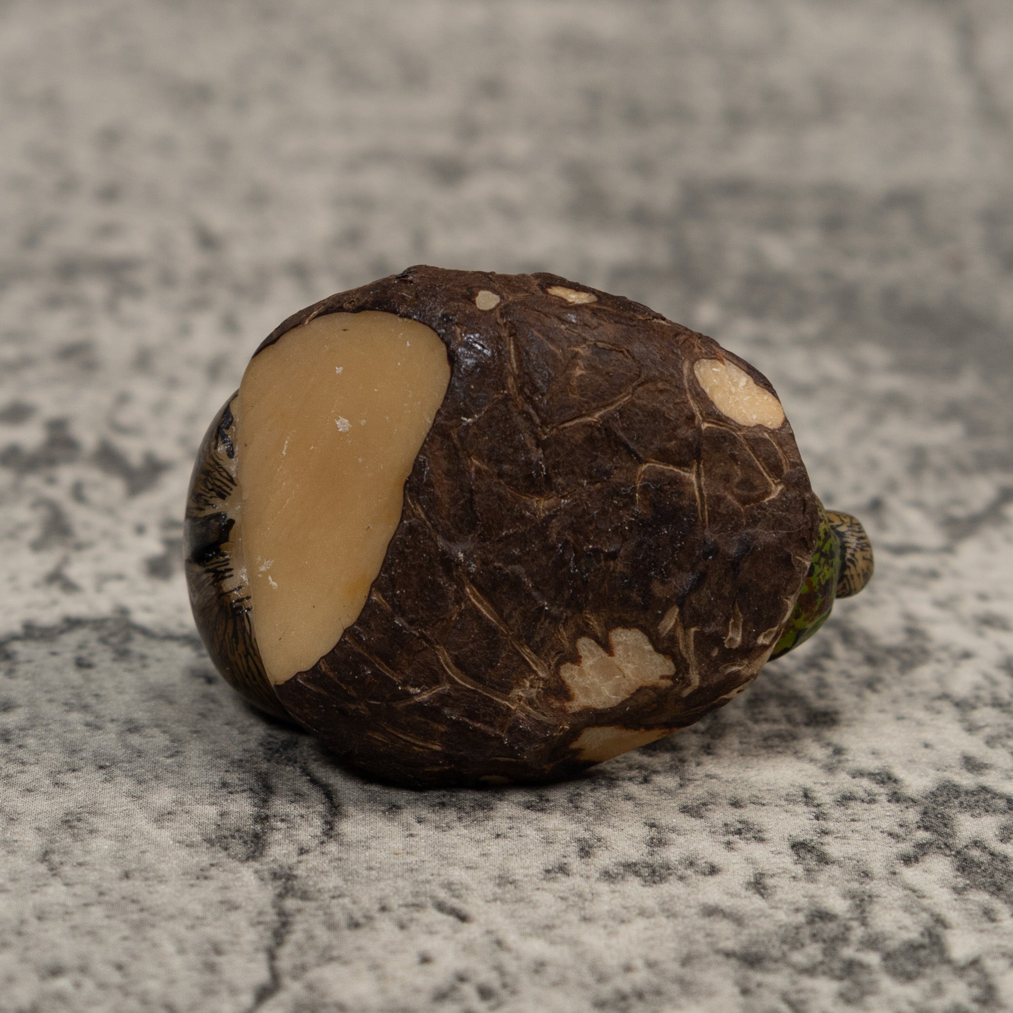 Neque Agouti Conejo Pintado Tagua Carving