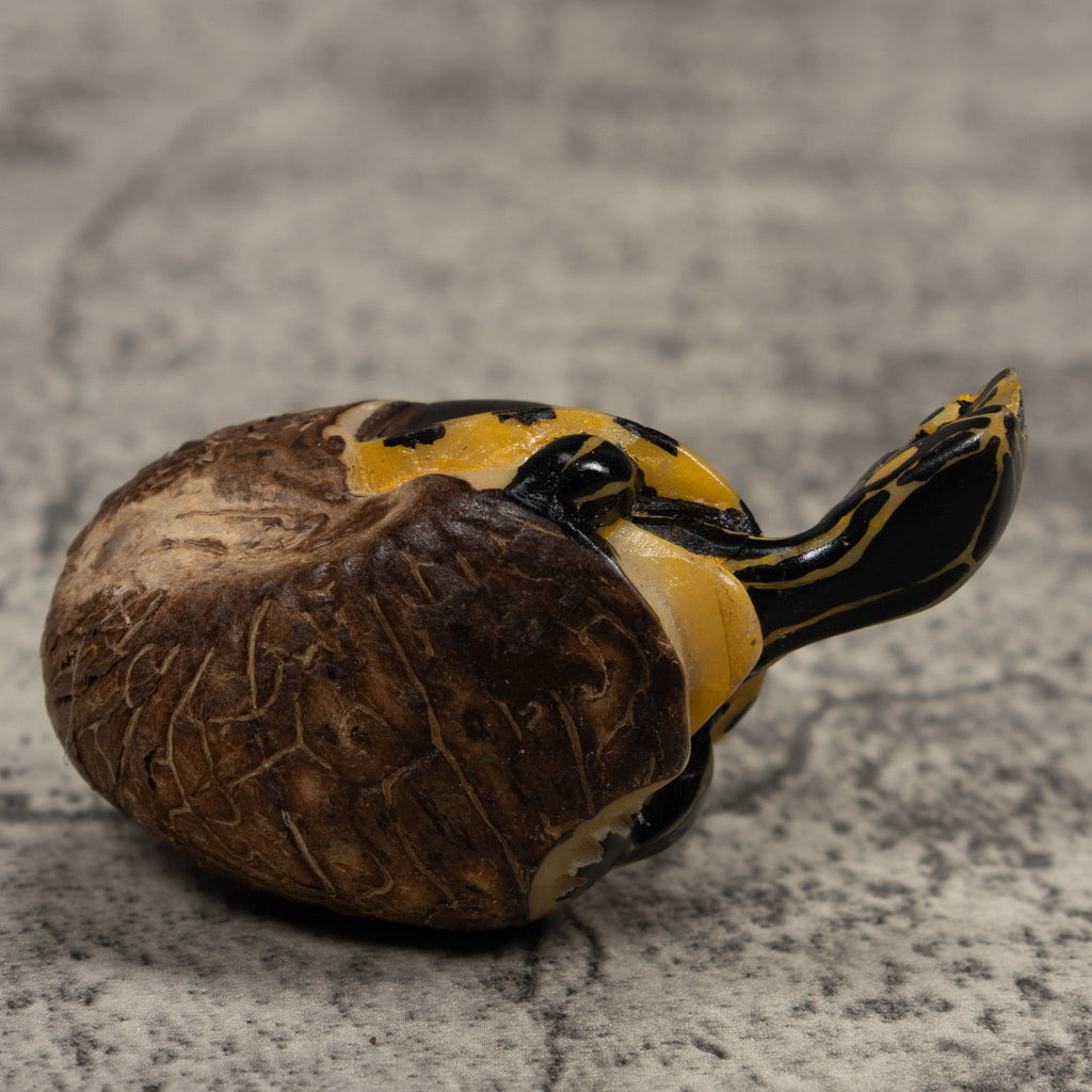 Tortise and Egg Tagua Carving