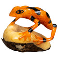 Fully Undercut Poison Dart Frog Tagua Carving