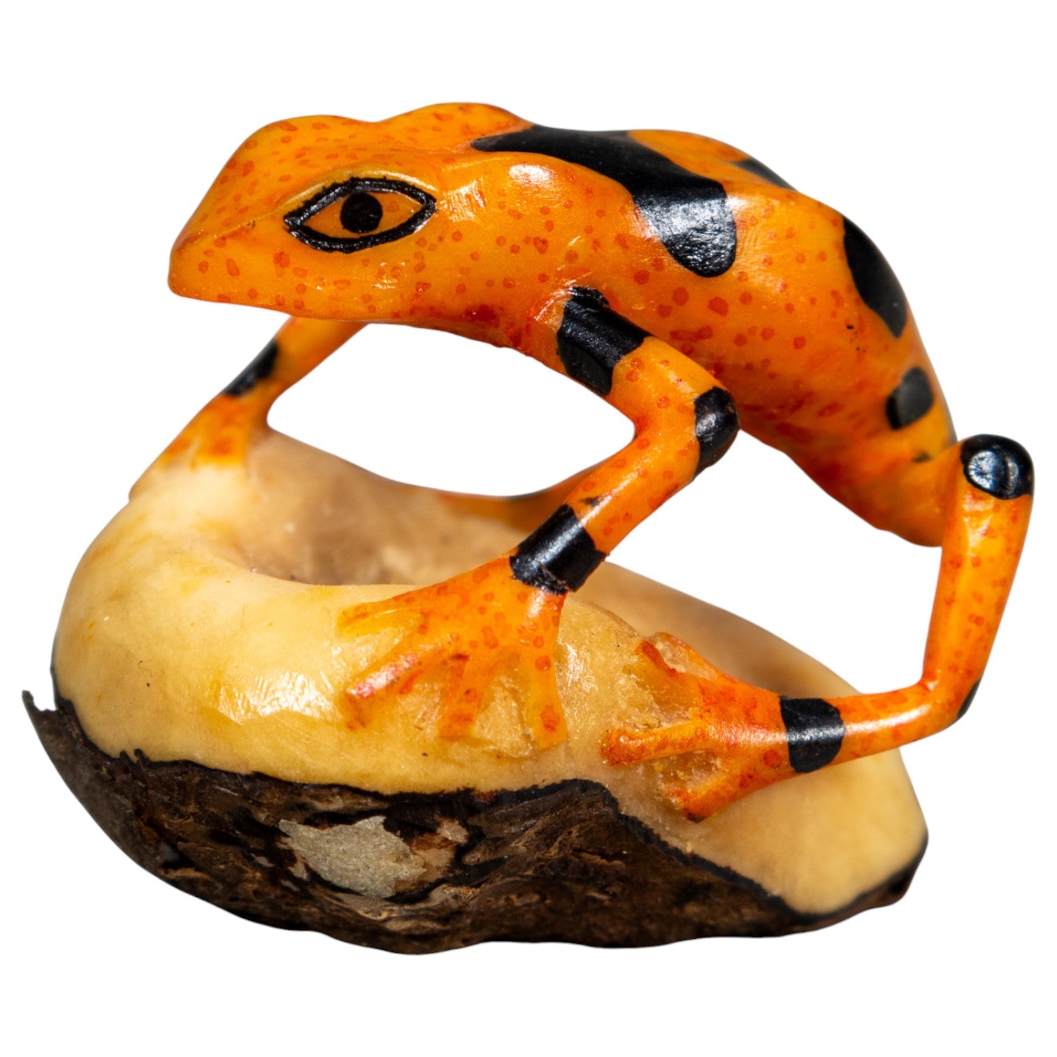 Fully Undercut Poison Dart Frog Tagua Carving
